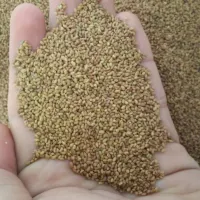 بذر یونه اصلاح شده