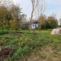 (*۳۰۰ متر زمین مسکونی با نامه بنیاد مسکن*)|فروش زمین و ملک کلنگی|رشت, کاکتوس|دیوار