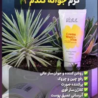کرم جوانه گندم و پنکک لاکچری کوین اصل