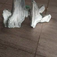 مجسمه آکواریم|مجسمه، تندیس، ماکت|ساوه, |دیوار