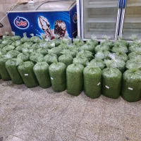 سبزی|خوردنی و آشامیدنی|تهران, میدان میوه و تره‌بار مرکزی|دیوار