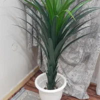 درختچه مصنوعی|گل مصنوعی|شوشتر, |دیوار