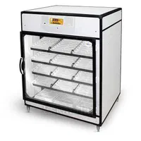 نماینده فروش دستگاه جوجه کشی اسکندری آستانه اشرفیه|لوازم جانبی حیوانات|آستانه اشرفیه, |دیوار