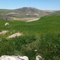 باغ-و-زمین-کشاورزی-اجاره-یا-فروش-حسین-آوا