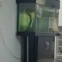 آکواریوم زیبا به همراه وسایل