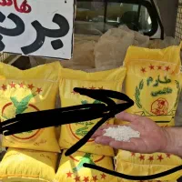 برنج طارم هاشمی به شرط