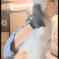 گربه شناسنامه دارو مهربون