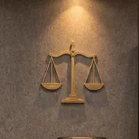 تنظیم فوری لایحه و دادخواست توسط وکیل