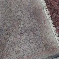 قالیچه|فرش|تهران, امام زاده عبدالله|دیوار