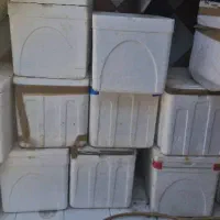 یونولیت (یخدون)