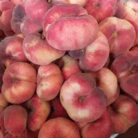هلو انجیری درجه ۱