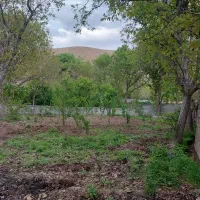 باغ کهندان|فروش زمین و ملک کلنگی|قاهان, |دیوار