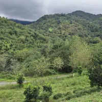 زمین ۳۳۰ متری ،دارای پروانه ساخت