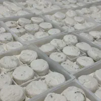 شیرینی جات و سوغاتی|خدمات پذیرایی، مراسم|اردبیل, |دیوار