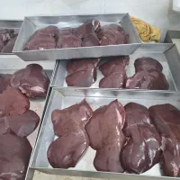 جیگر گوسفندی  کشتار روز