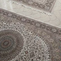 موکت نو نو