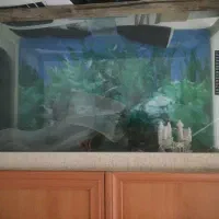آکواریوم 80 سانت دست دوم سالم