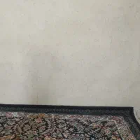 زیر زمین دربست حاشیه بهشتی