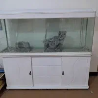 اکواریوم ۱/۵ متری