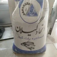 پلت ماهی|ماهی|مرند, |دیوار