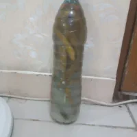 خیارشور خانگی|خوردنی و آشامیدنی|اهواز, یوسفی|دیوار