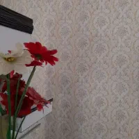 رنگ ونقاشی طرح کاغذدیواری|خدمات پیشه و مهارت|بندرعباس, |دیوار