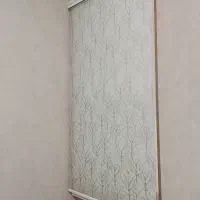 پرده و زیر پرده زبرا