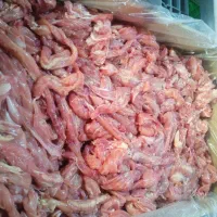 فروش  استیک گوشت گردن مرغ (خرده  گوشت )|خوردنی و آشامیدنی|شیراز, بید زرد|دیوار