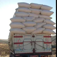 کاه گندم گاوی درشت و گوسفندی نرم موجوده|حیوانات مزرعه|مبارکه, |دیوار