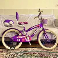 دوچرخه سایز 20 دخترانه