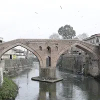 فروش ۳قطعه زمین شهرستان لنگرود،ساخت وسرمایه گذاری