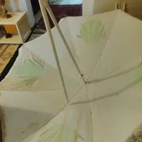 سایبون چتری باغی