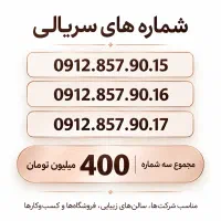 سیم‌ کارت سریالی