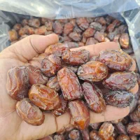 خرما کبکاب خشت اعلا ارگانیک|خوردنی و آشامیدنی|قم, باغ شریفی|دیوار