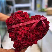 گل رز ساقه بلند نرگس شیراز