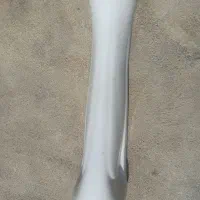 رو شویی