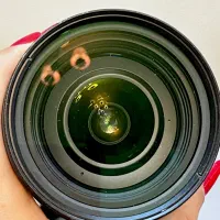 Sigma Art 24-70 / Nikon|دوربین عکاسی و فیلم‌برداری|یزد, |دیوار