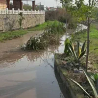 ۲۰۷*مترشهرکی/اقساطی|فروش زمین و ملک کلنگی|آمل, |دیوار