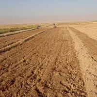 فروش زمین کشاورزی|فروش دفتر صنعتی، کشاورزی، تجاری|چناران, |دیوار