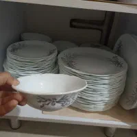 ارکوپال۳۰نفره