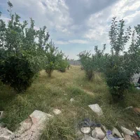 باغچه 850 متری لوکس در جاده منتظران|فروش آپارتمان|دزفول, |دیوار