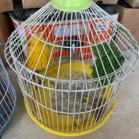 قفس پرنده طرقه