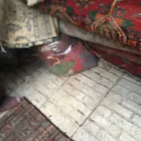 نخ قالی پشم