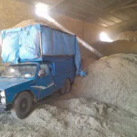 خریدارکاه لوبیا قرمز کاه لوبیا سفید|خدمات باغبانی و درختکاری|شازند, |دیوار