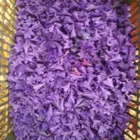 وسایل گل سازی