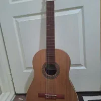 گیتار Norania C2 همراه کیفش