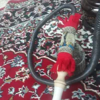 قلیان برنجی|صنایع دستی و سایر لوازم تزئینی|مشهد, ده دی|دیوار