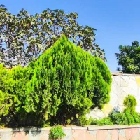 ویلا ۱۰۰ متری و زمین ۳۰۰متر