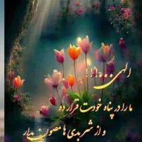 پول گم کردم