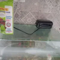 اکواریوم|ماهی|خرمآباد, |دیوار